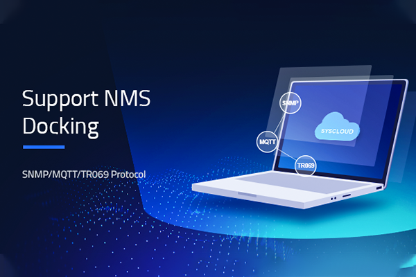 HRUI L2/L3 Managed Switch Support NMS Stocking